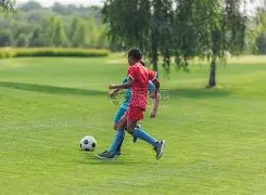 意甲,热那亚与科,莫握手言和,星耀娱乐官网,星耀娱乐官网全球信赖,星耀娱乐官网在线娱乐平台,星耀娱乐官网玩家首选,星耀娱乐官网星耀娱乐,星耀娱乐官网游戏平台